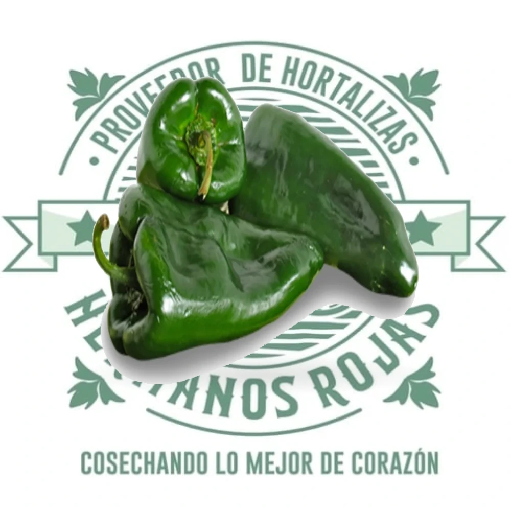 Chile poblano fresco de alta calidad para restaurantes y negocios en Querétaro