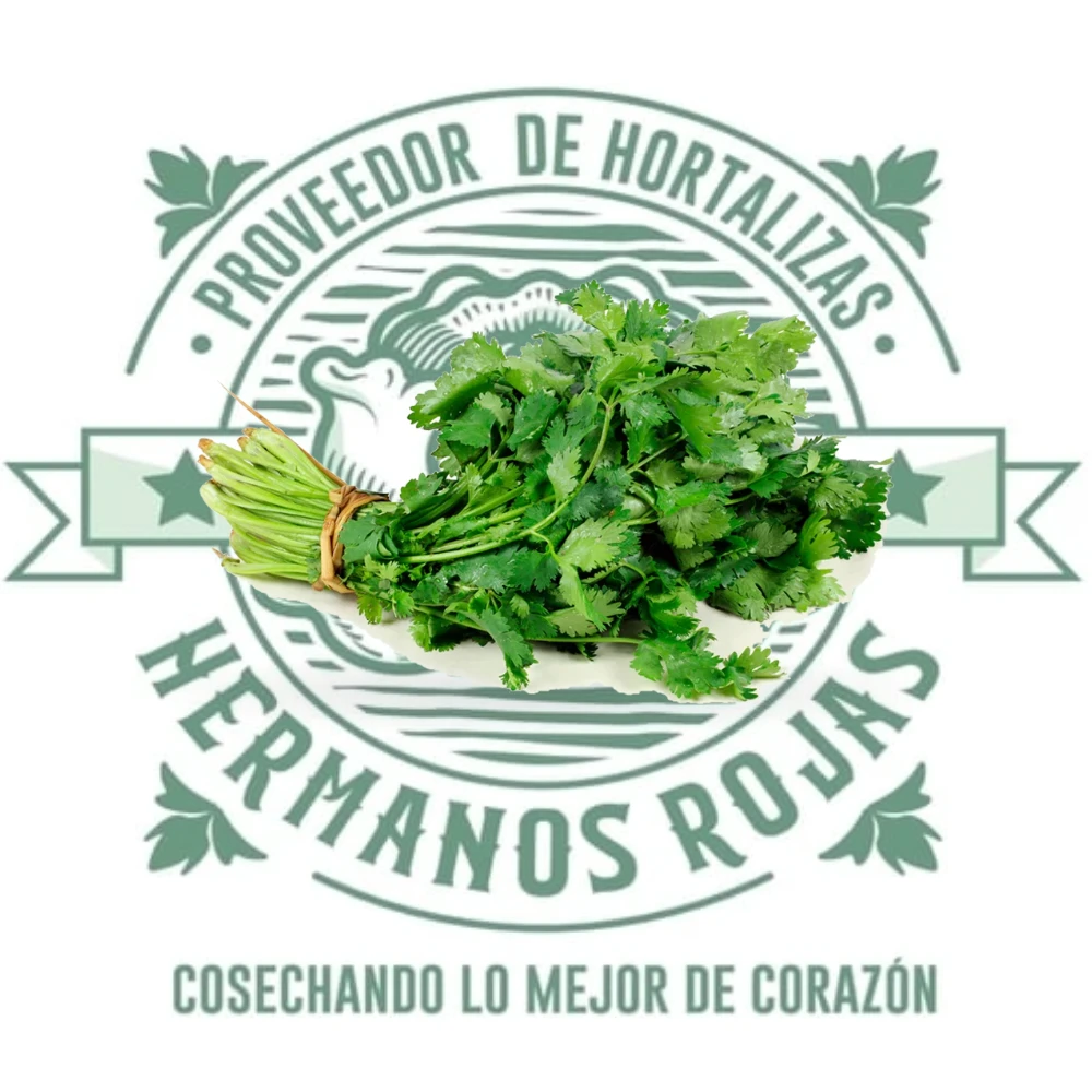 Cilantro Criollo Gourmet fresco de Distribuidora Hermanos Rojas, Querétaro