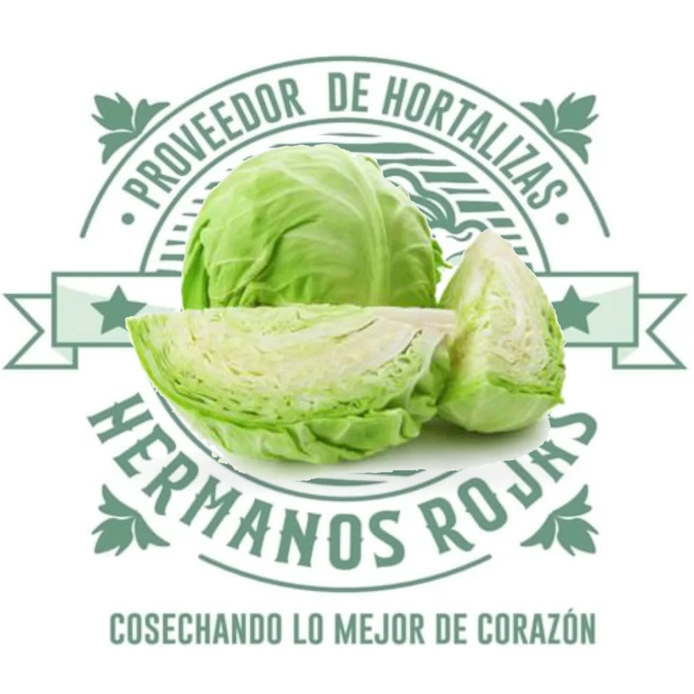Col blanca fresca de alta calidad, hojas lisas y crujientes, ideal para cocina profesional en Querétaro