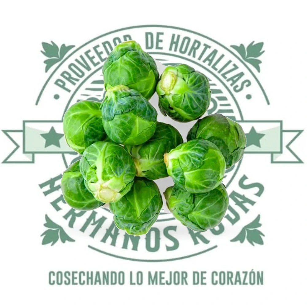 Col de Bruselas fresca Campo Vivo de Distribuidora Hermanos Rojas Querétaro