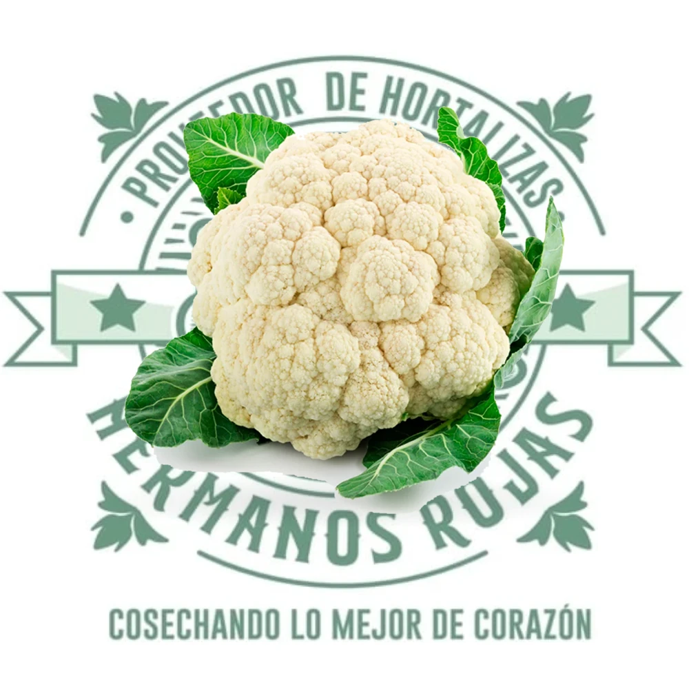 Coliflor fresca de calidad premium de Distribuidora Hermanos Rojas en Querétaro