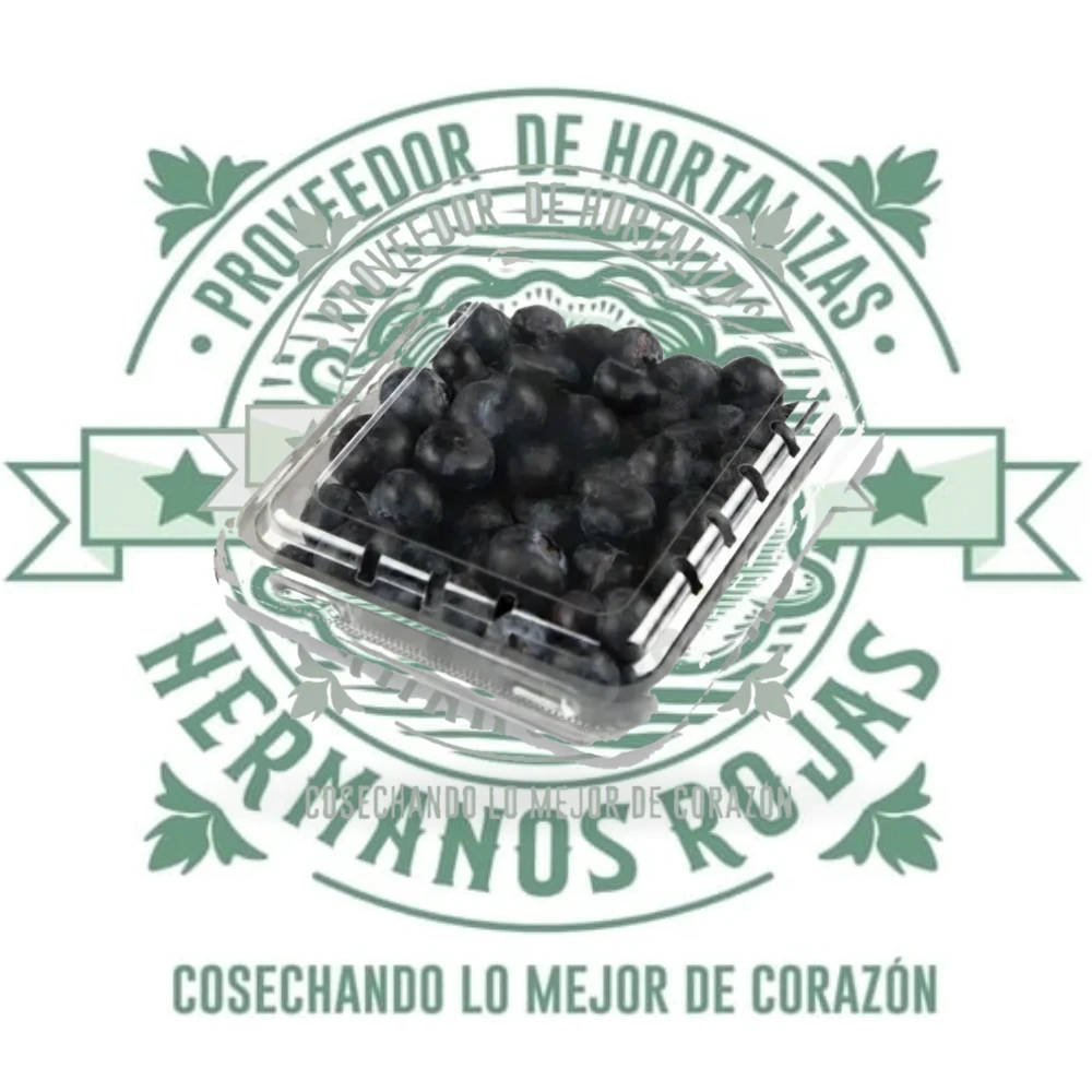 Domo de arándanos blueberries frescos 170 gramos, fruta premium para restaurantes