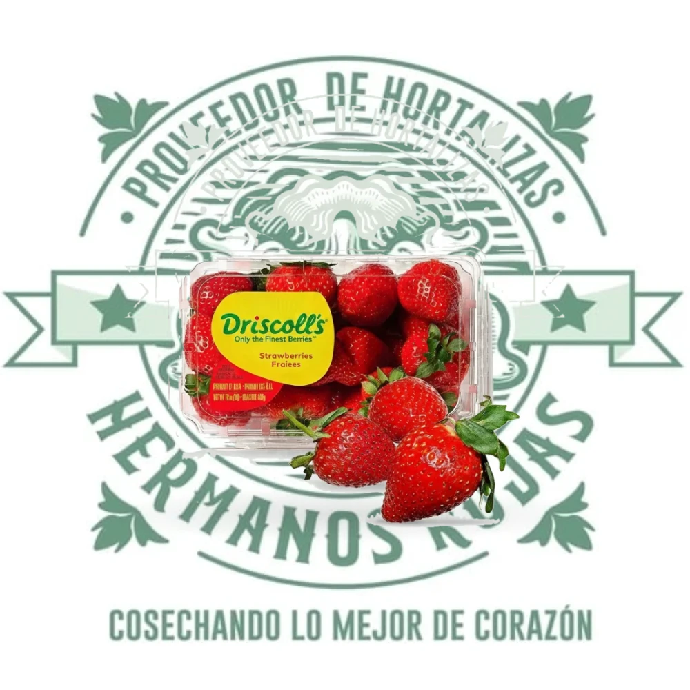 Domo de fresas frescas 480 gramos, frutas rojas de calidad premium para distribuidora