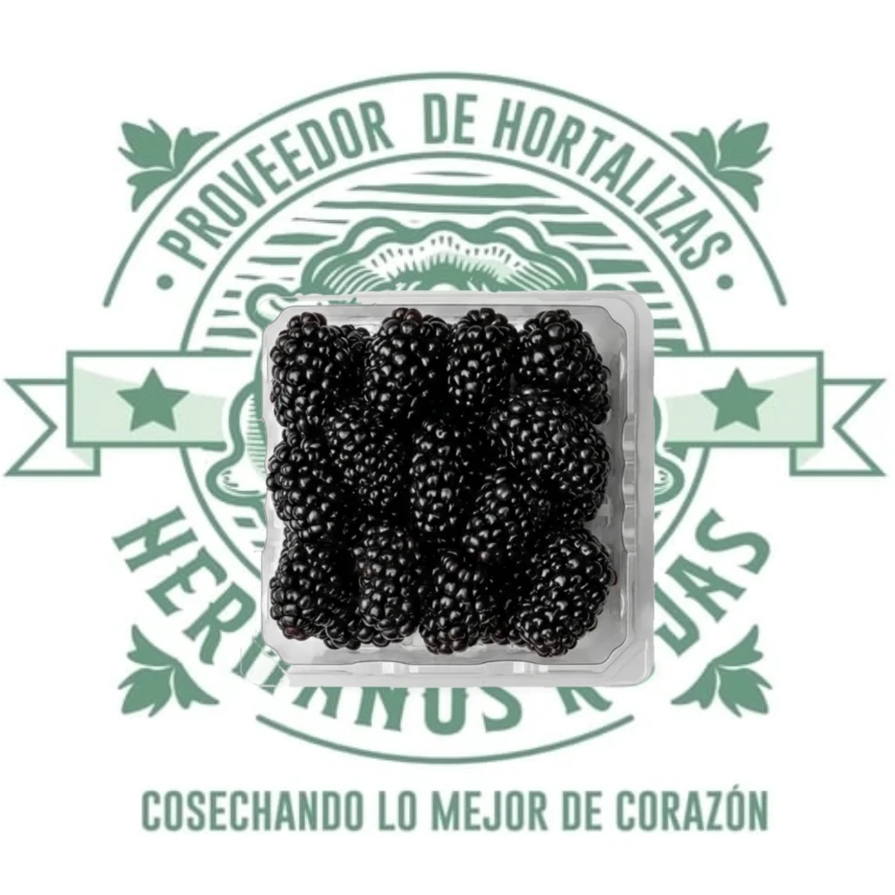 Domo de zarzamoras frescas 170 gramos, frutas negras aromáticas de calidad premium