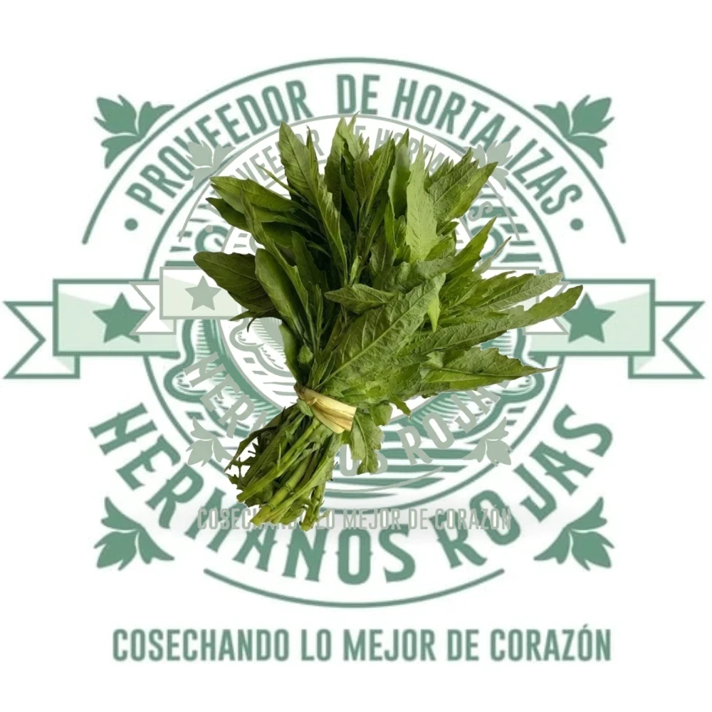 EPAZOTE