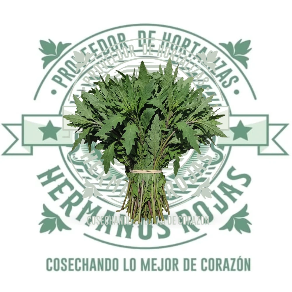 EPAZOTE MANOJO GRANDE