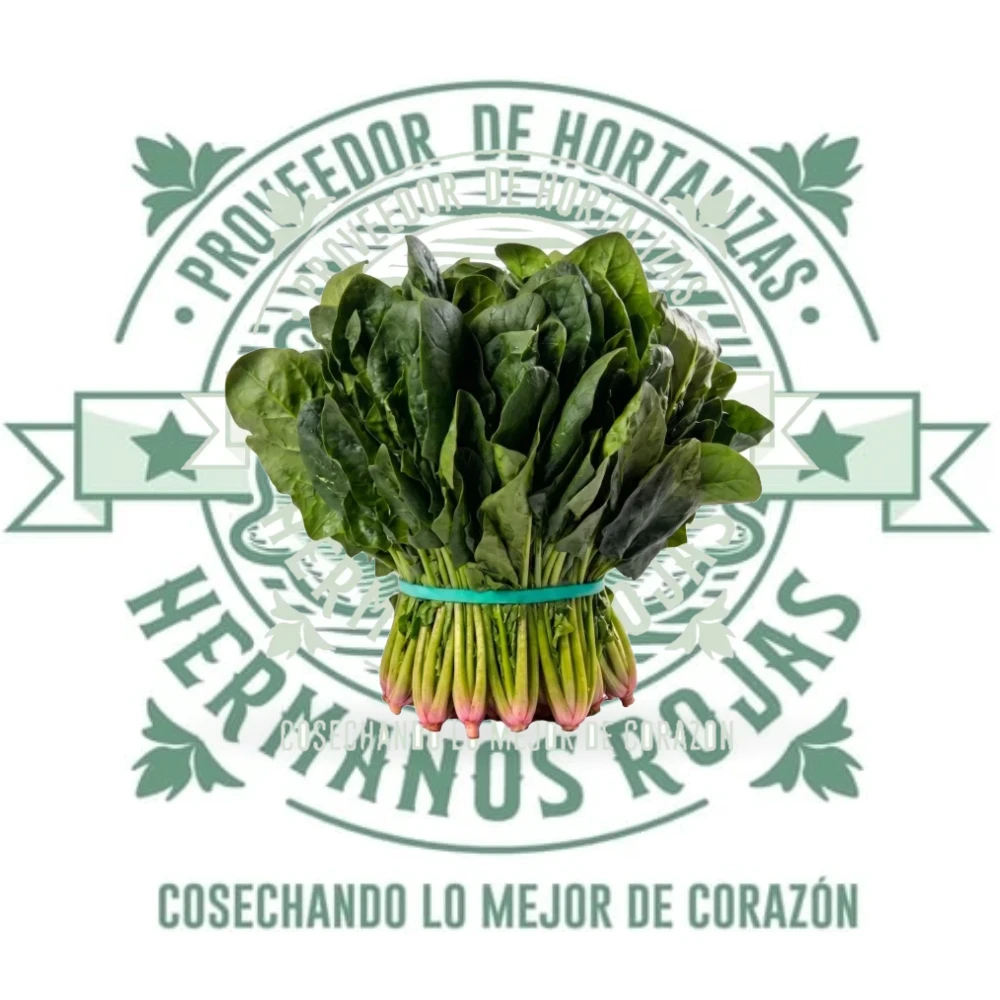ESPINACA MANOJO