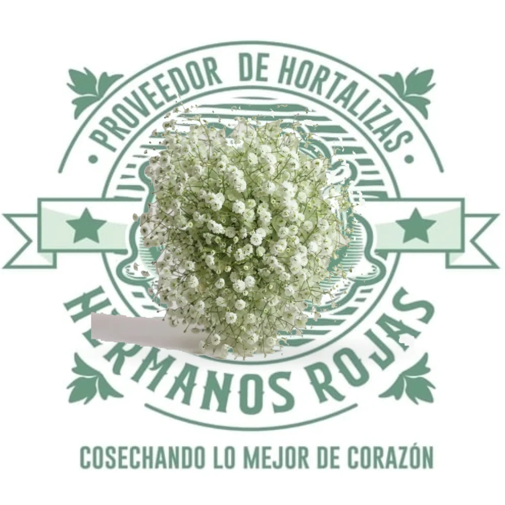 FLOR COMESTIBLE (NUBE)
