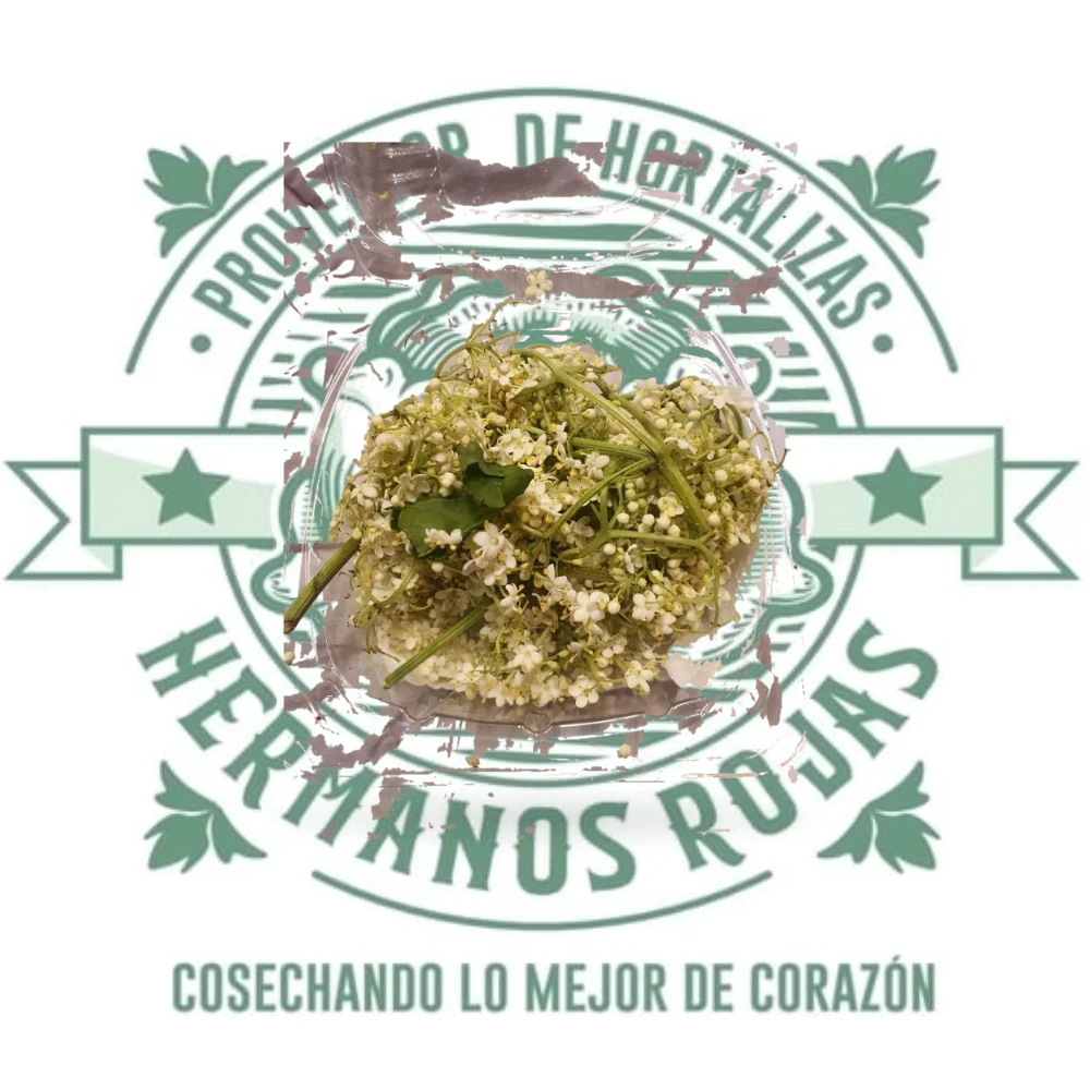 Flor comestible sauko fresca en domo transparente, flores blancas cremosas de saúco gourmet