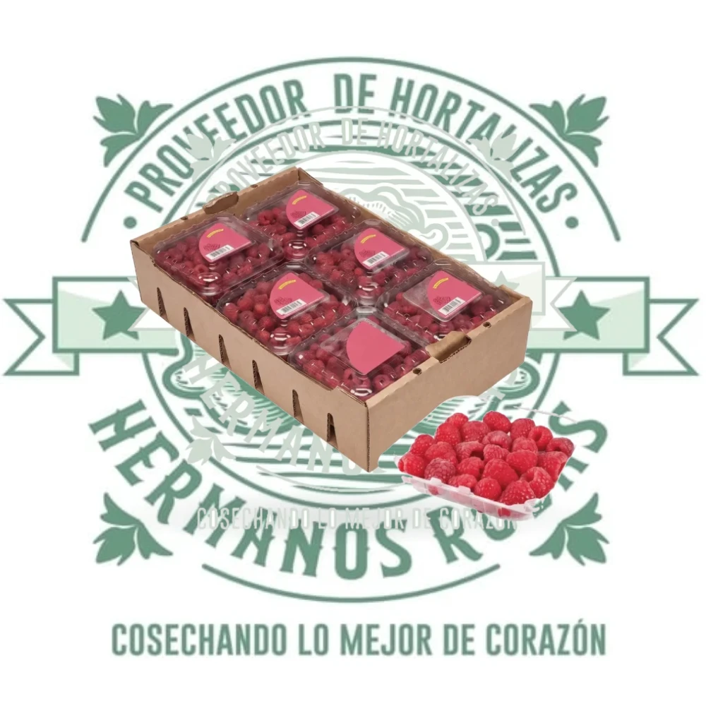 FRAMBUESA CAJA CON 12 DOMOS DE 170g c/u