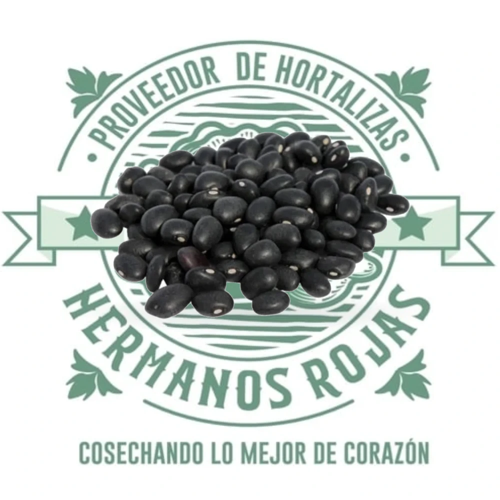 FRIJOL NEGRO / MICHIGAN