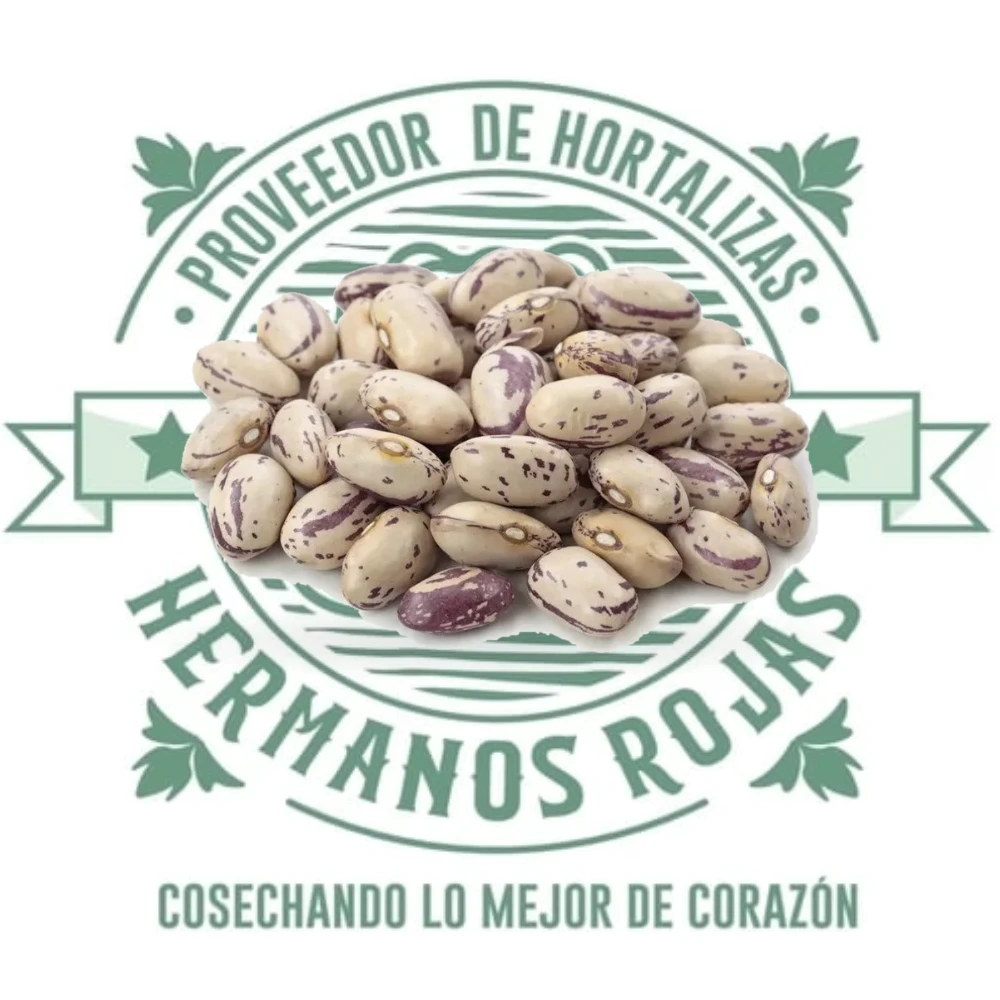 Frijol Pinto Premium de Distribuidora Hermanos Rojas Querétaro