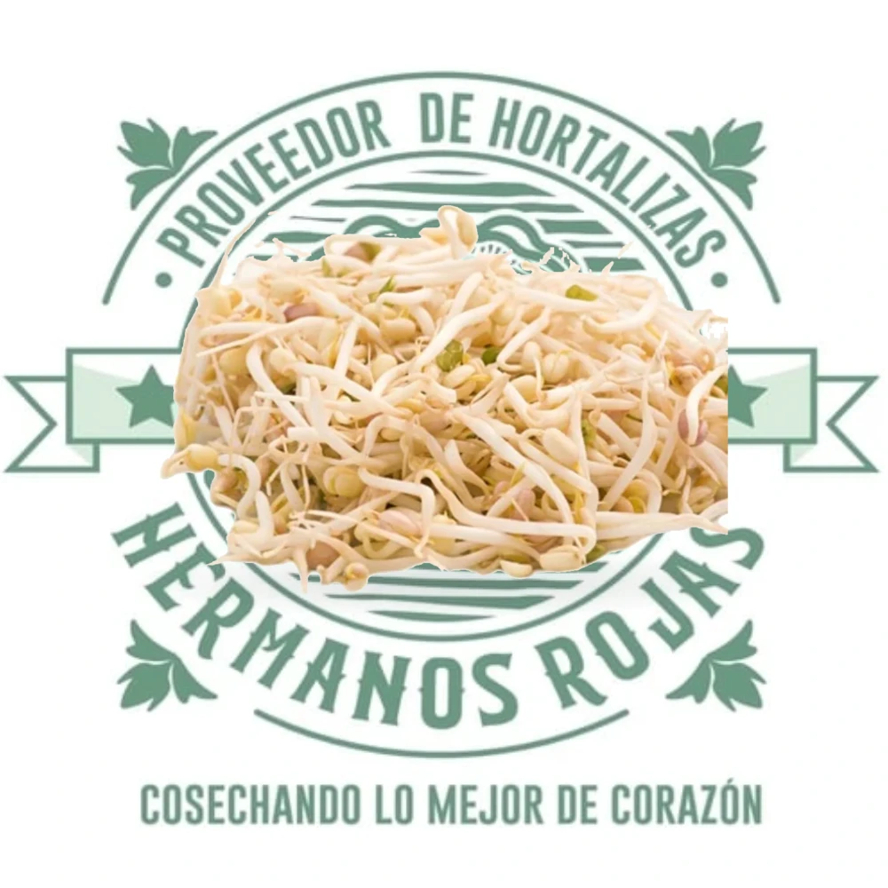 Germen de soya fresco gourmet de Distribuidora Hermanos Rojas Querétaro