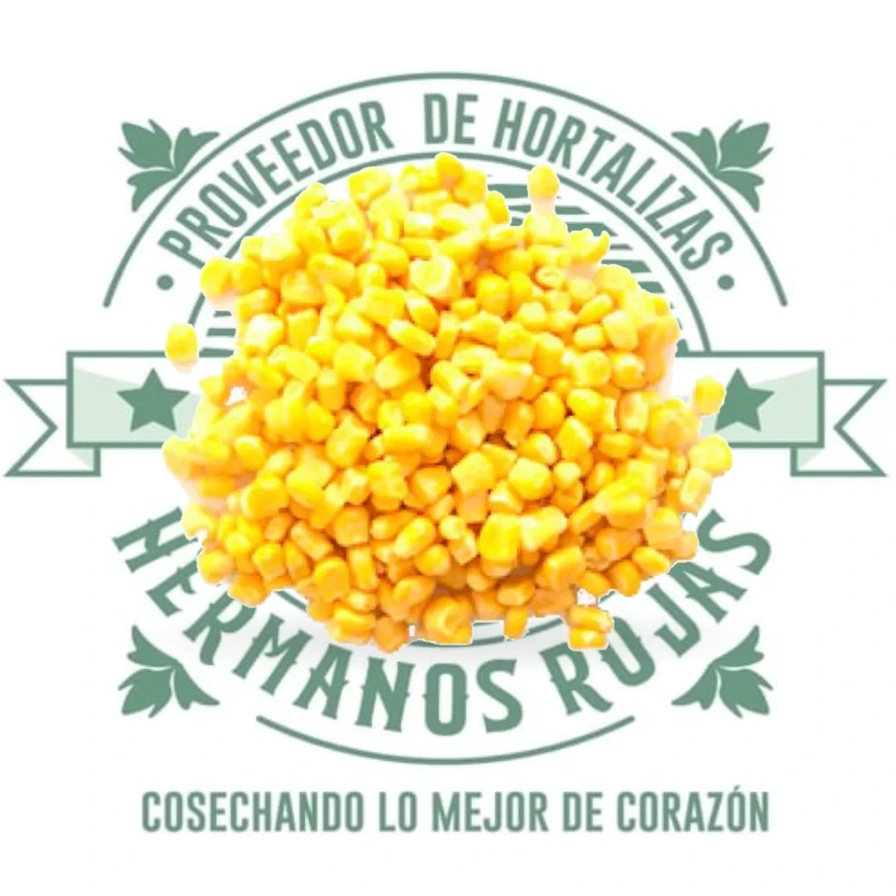 Grano de elote amarillo fresco y tierno de alta calidad para distribuidoras en Querétaro