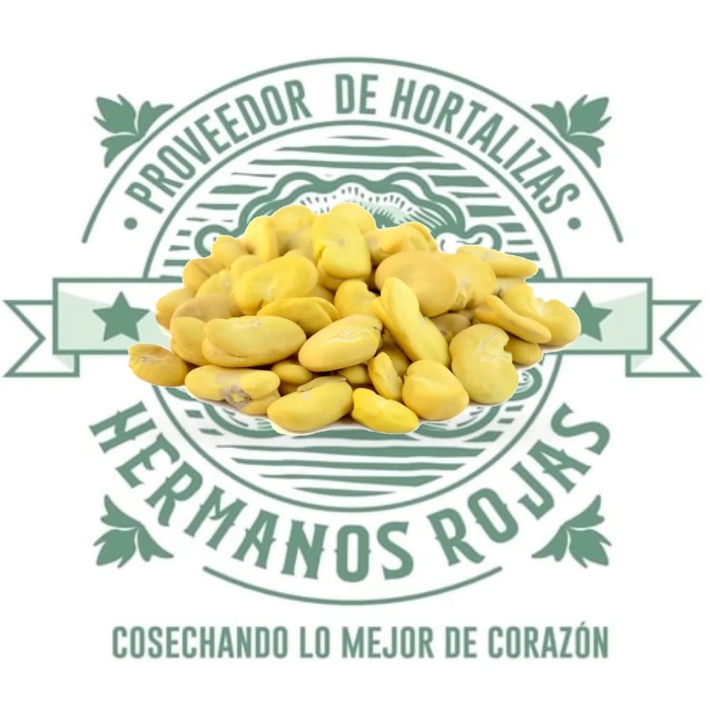 Habas frescas a granel por kilogramo de Distribuidora Hermanos Rojas Querétaro