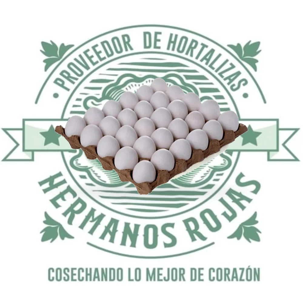 Huevo blanco fresco de calidad premium distribuido por Hermanos Rojas en Querétaro