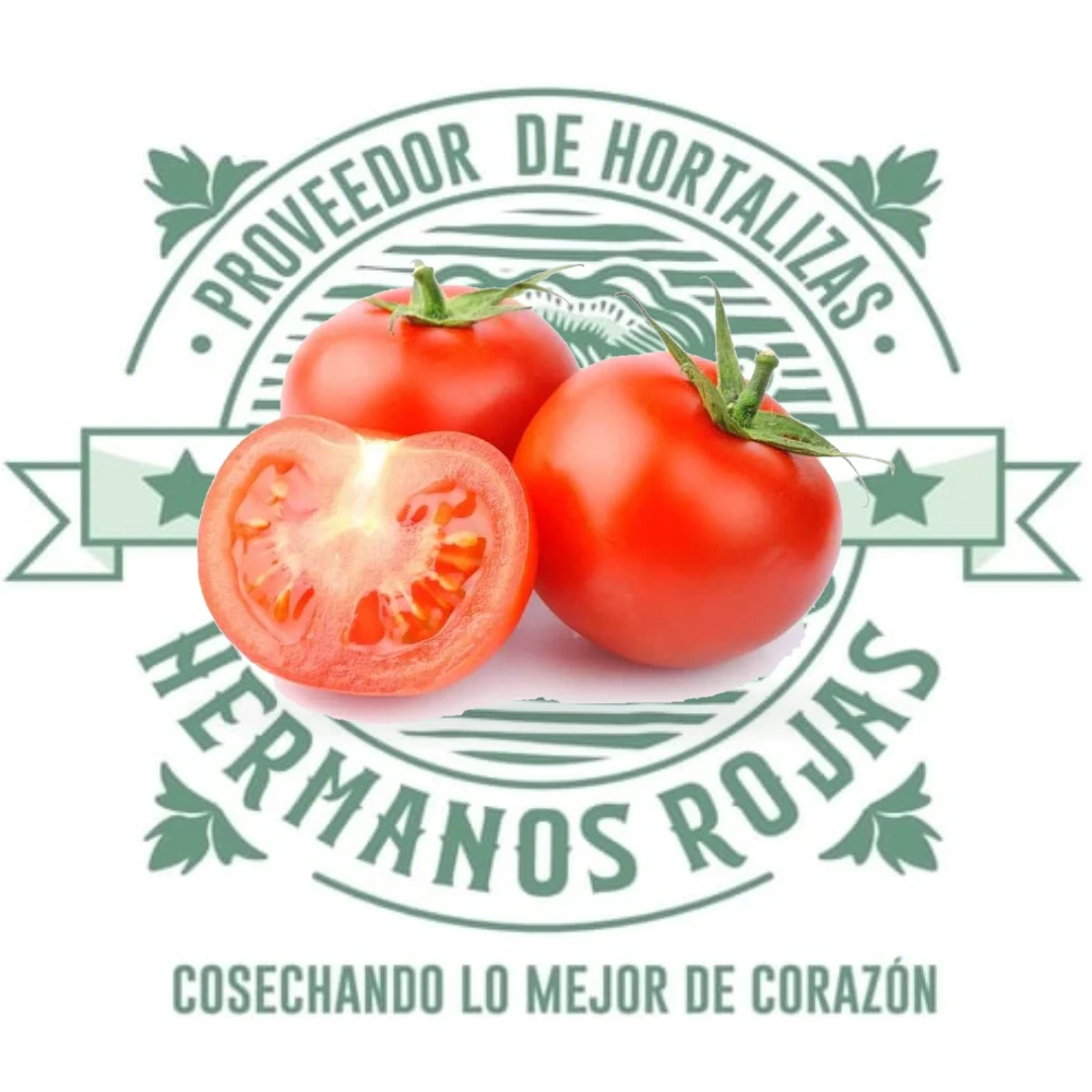 Jitomates Bola rojos frescos y maduros de Distribuidora Hermanos Rojas Querétaro