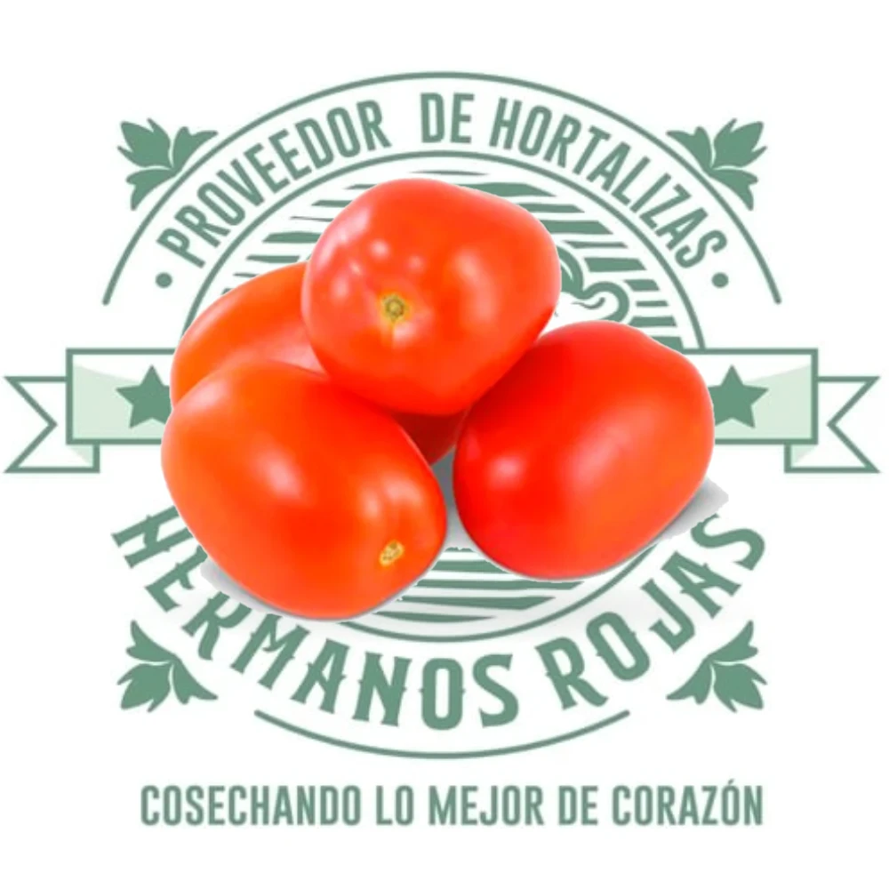 jitomate fresco rojo natural alta calidad para cocina y restaurante