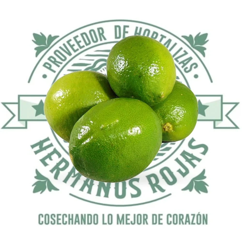 Limones frescos y ácidos de alta calidad de Distribuidora Hermanos Rojas en Querétaro