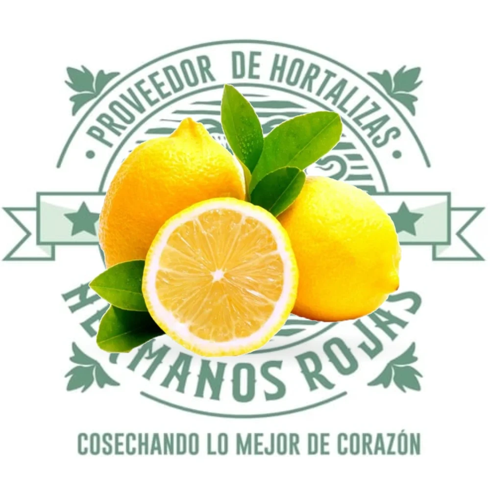 Limón Eureka fresco de color amarillo brillante, sin semillas, de Distribuidora Hermanos Rojas