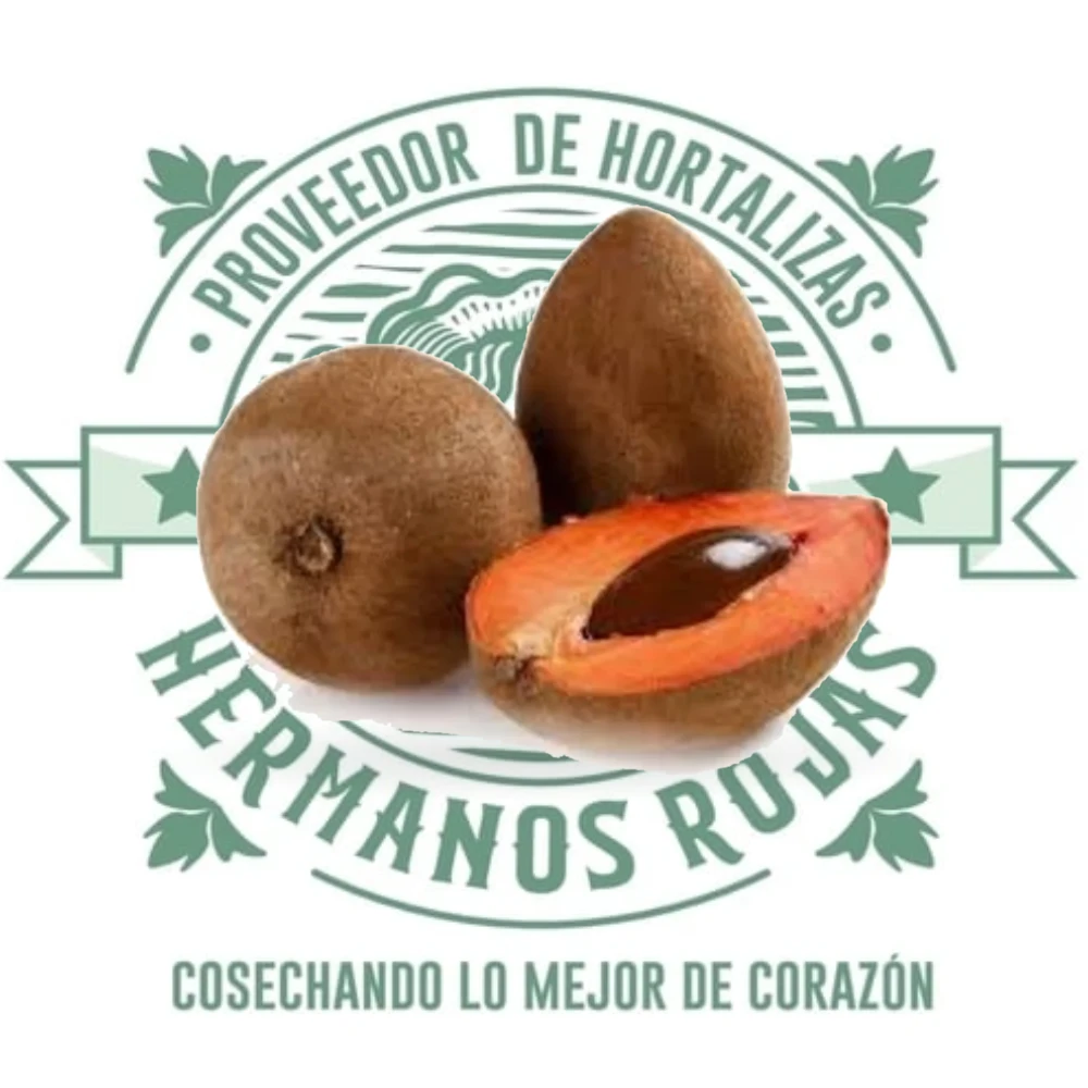 Mamey fresco de calidad premium distribuido por Hermanos Rojas en Querétaro