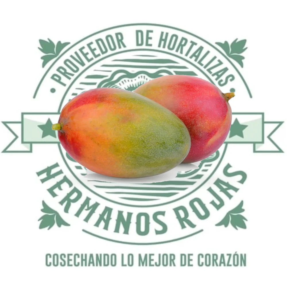 Mango Heidi fresco y maduro de color amarillo brillante, variedad premium de Querétaro