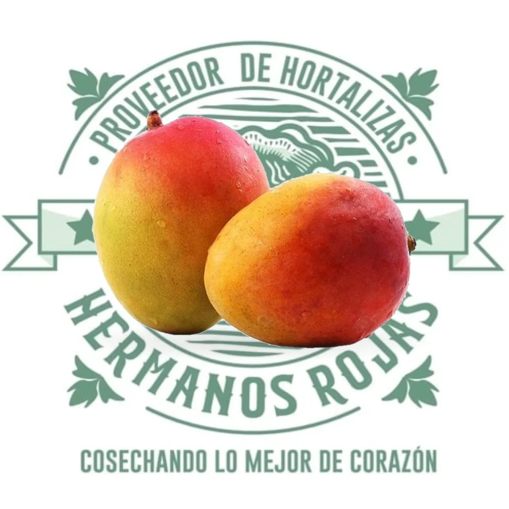 Mango petacón grande y fresco de huerta, con piel verde y amarilla, distribuido por Hermanos Rojas en Querétaro