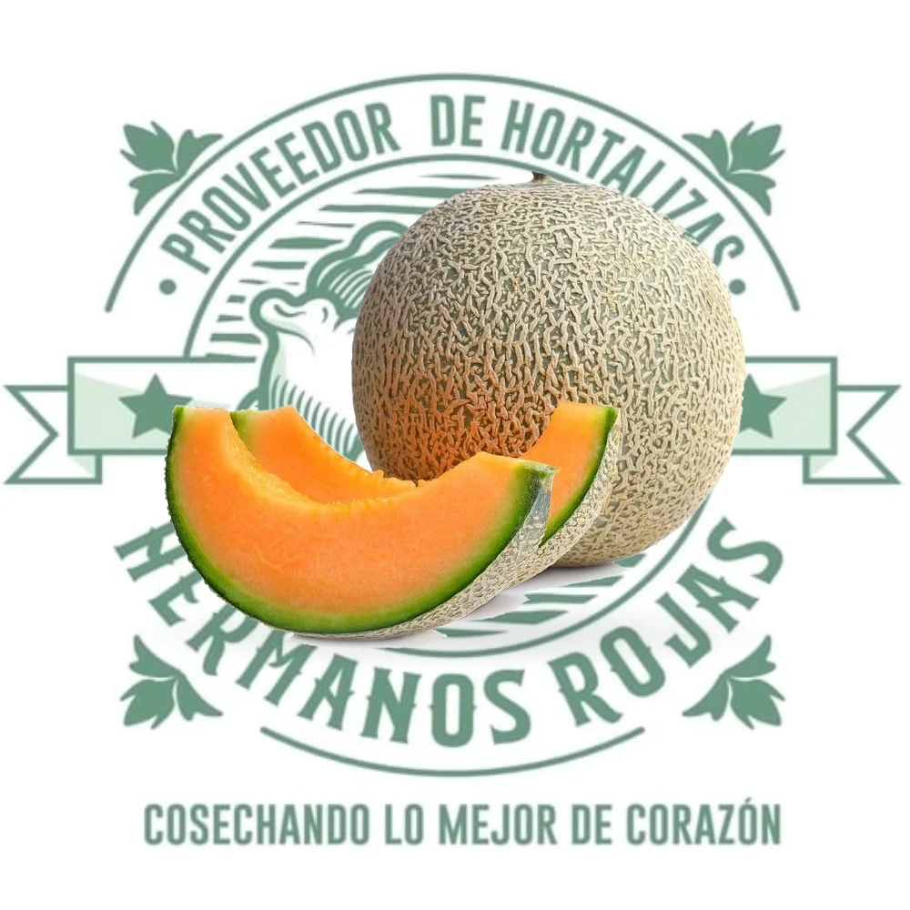 Melón fresco entero de alta calidad, productor Distribuidora Hermanos Rojas Querétaro