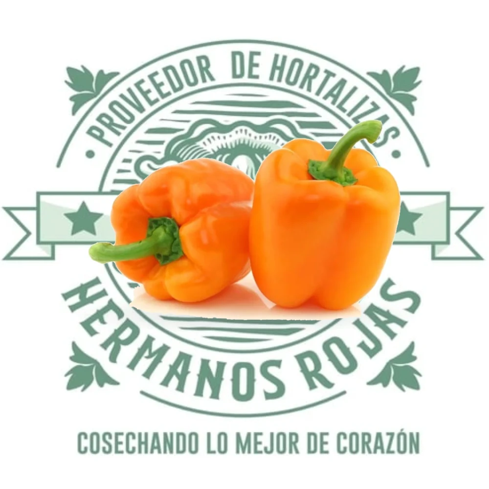 MORRON ANARANJADO