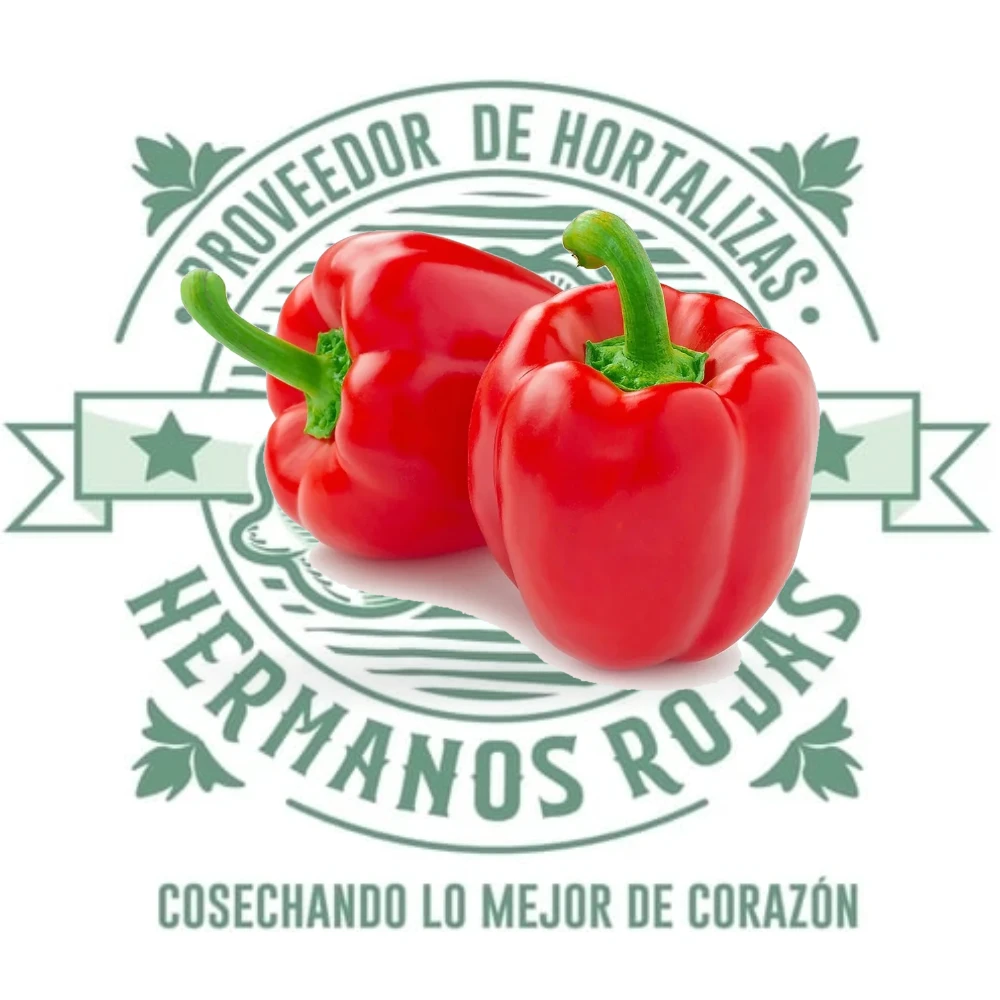 Morrón Rojo fresco de distribuidora Hermanos Rojas en Querétaro, México