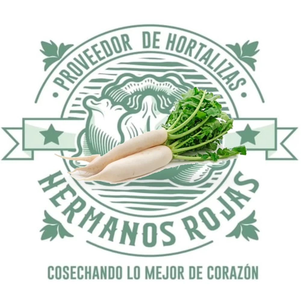 Nabo fresco de calidad premium con raíz blanca de Distribuidora Hermanos Rojas