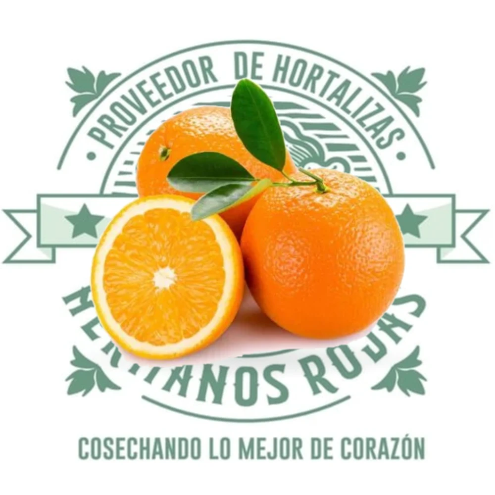 Naranjas Valencia frescas sin semilla de alta calidad de Distribuidora Hermanos Rojas Querétaro