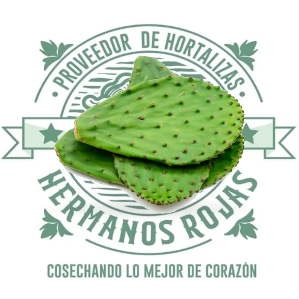 Nopales frescos con espinas verdes de calidad premium de Querétaro