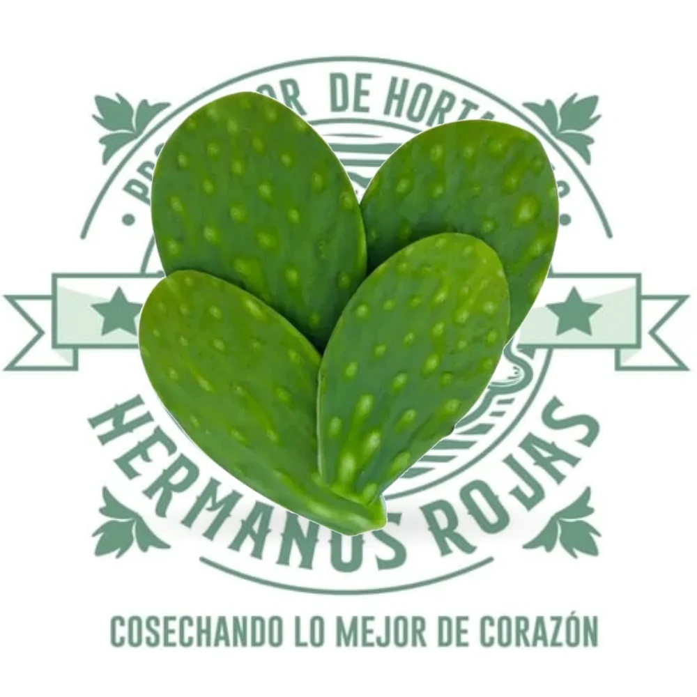 NOPAL LIMPIO
