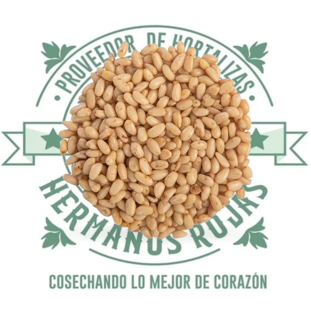 Piñón blanco gourmet fresco de alta calidad distribuido por Hermanos Rojas
