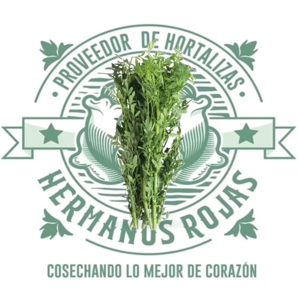 Ruda fresca de calidad premium distribuida por Hermanos Rojas en Querétaro, México