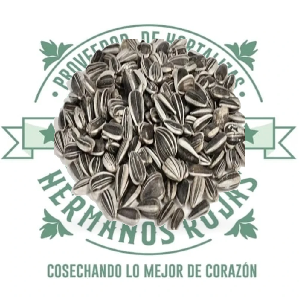 Semillas de girasol premium de Distribuidora Hermanos Rojas en Querétaro, México