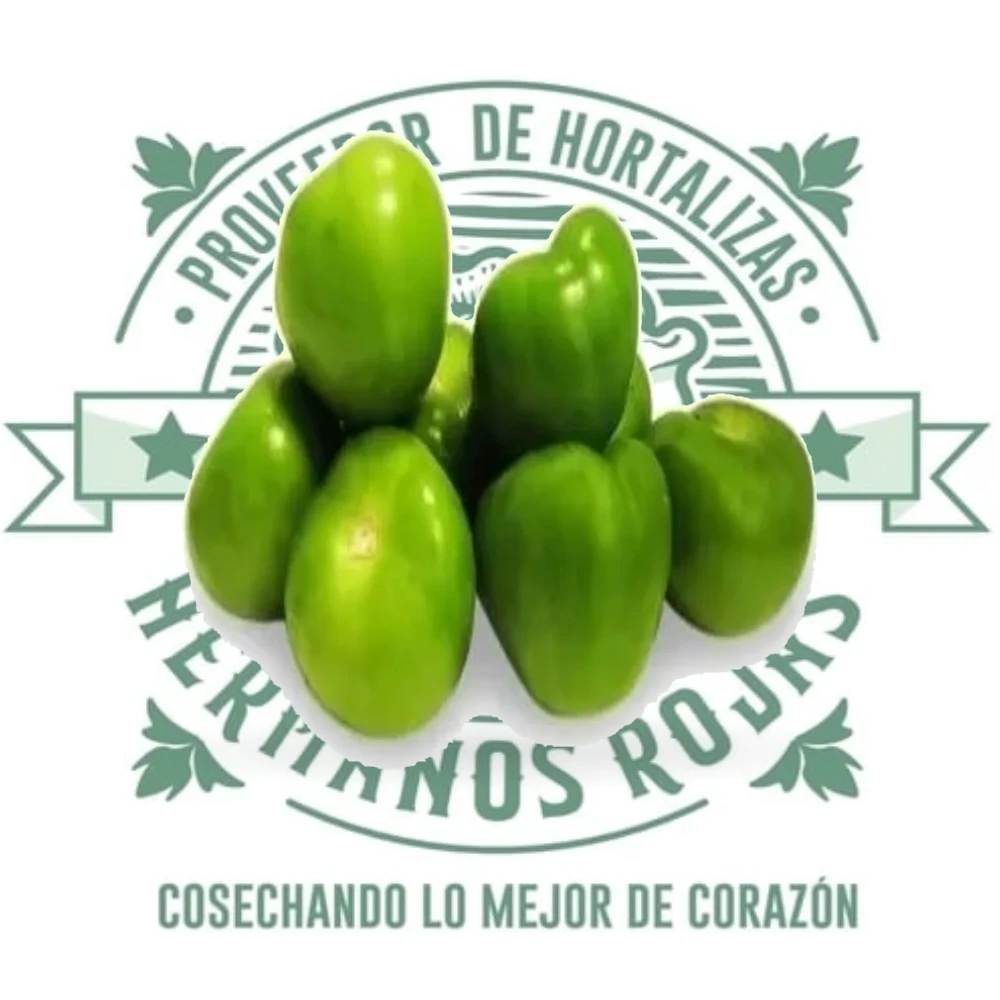 Tomate verde limpio fresco de la distribuidora Hermanos Rojas en Querétaro