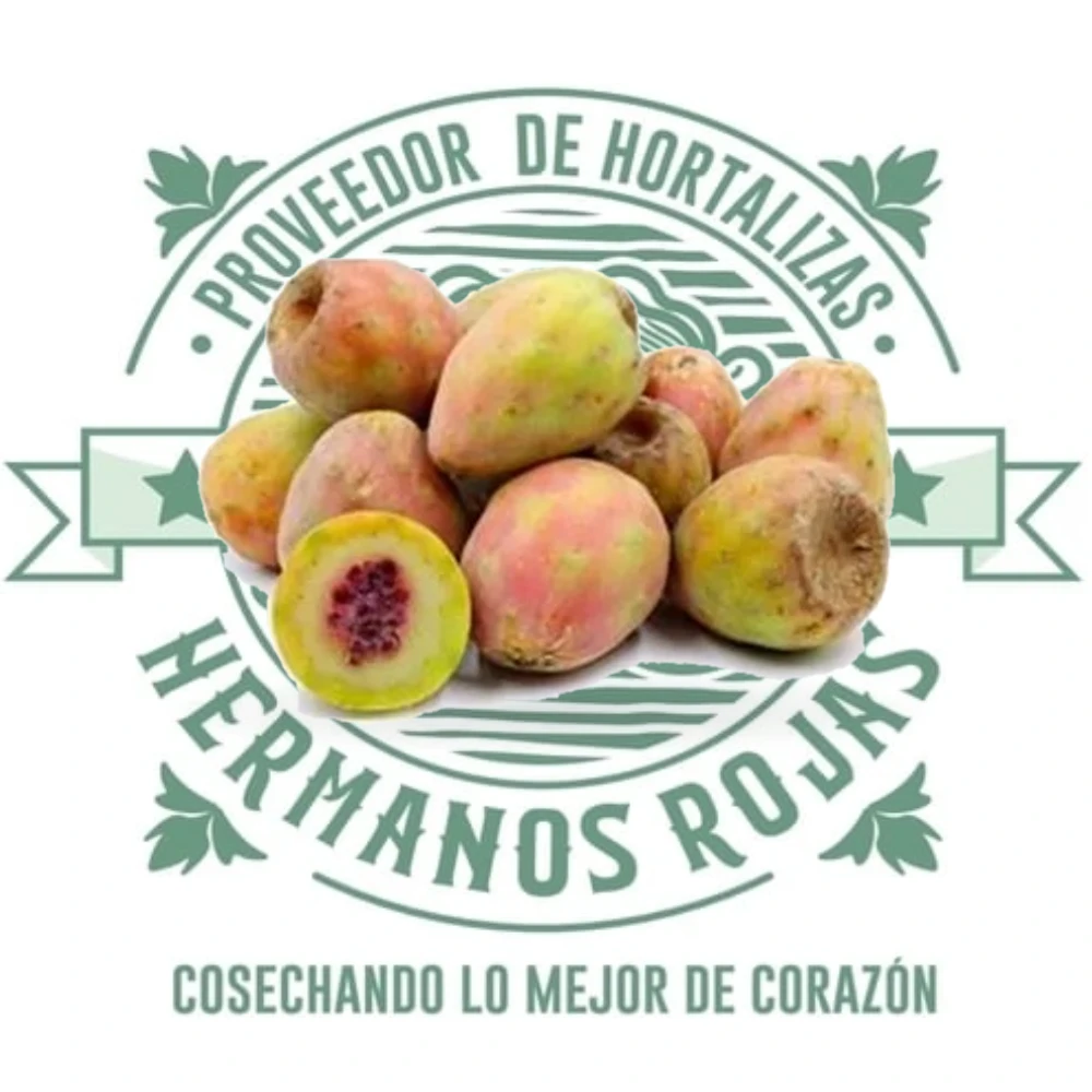 Xoconostle fresco rojo vivo de Distribuidora Hermanos Rojas Querétaro
