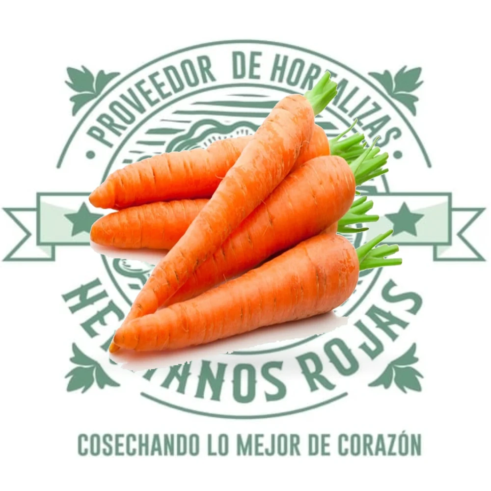 Zanahoria mediana fresca de calidad premium de Distribuidora Hermanos Rojas en Querétaro