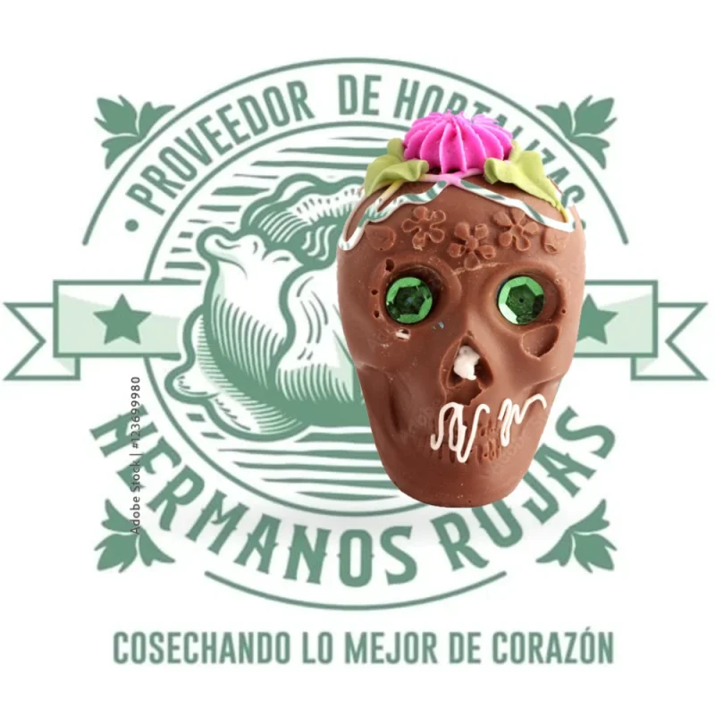 CALABERITAS DE CHOCOLATE  en Querétaro - Distribuidora Hermanos Rojas