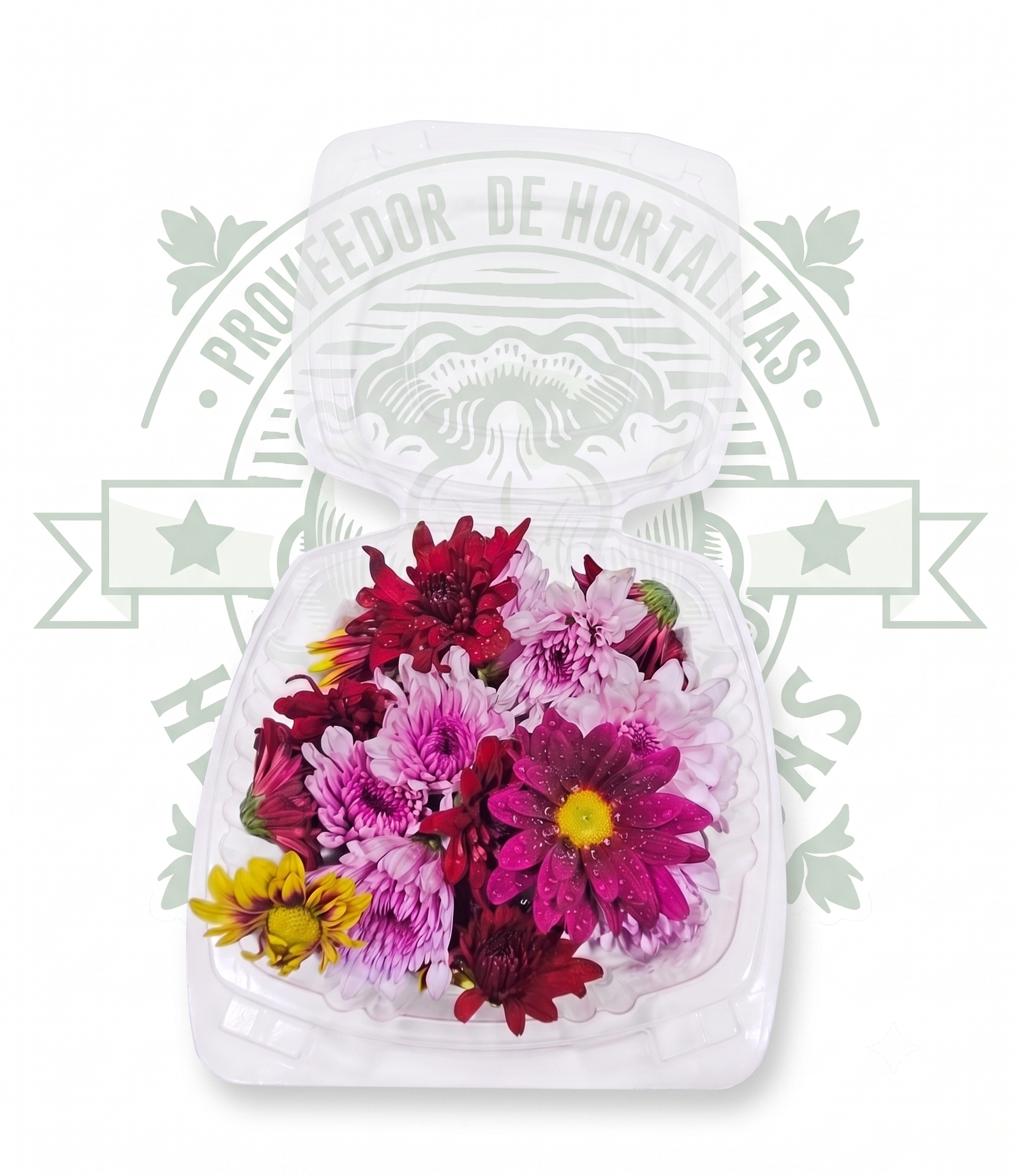 DOMO FLOR COMESTIBLE CRISANTEMO en Querétaro - Distribuidora Hermanos Rojas