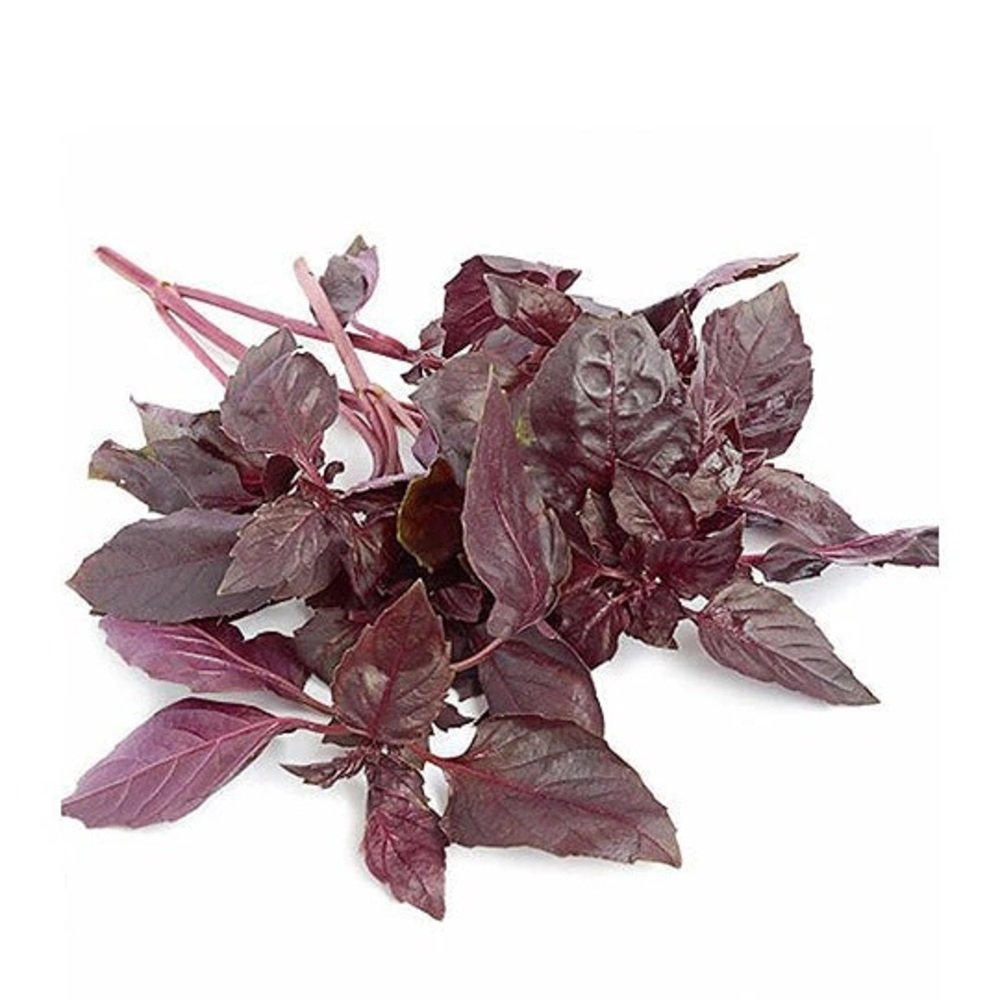 Albahaca morada fresca gourmet de alta calidad distribuida en Querétaro