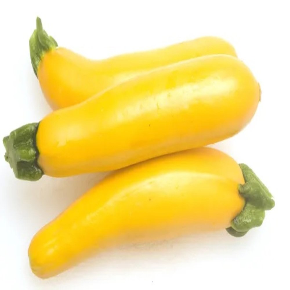 Calabaza Zucchini Amarilla Grandprize color amarillo intenso con pedúnculo verde de Hermanos Rojas