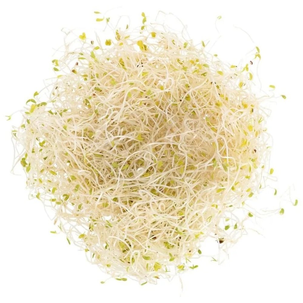 GERMEN DE ALFALFA