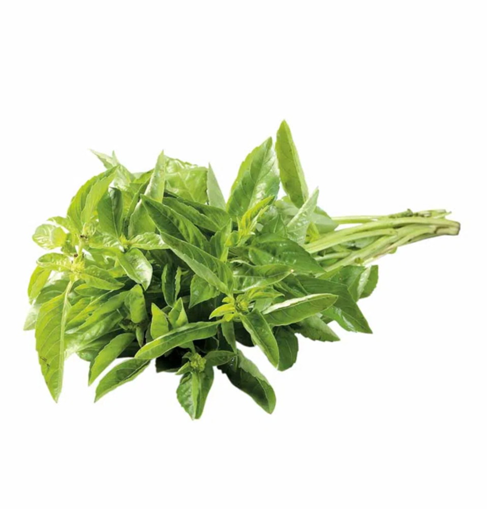 Albahaca fresca verde en ramo, producto de Distribuidora Hermanos Rojas Querétaro