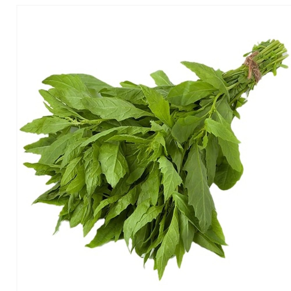 EPAZOTE