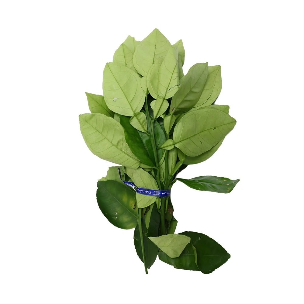 HOJA DE NARANJO