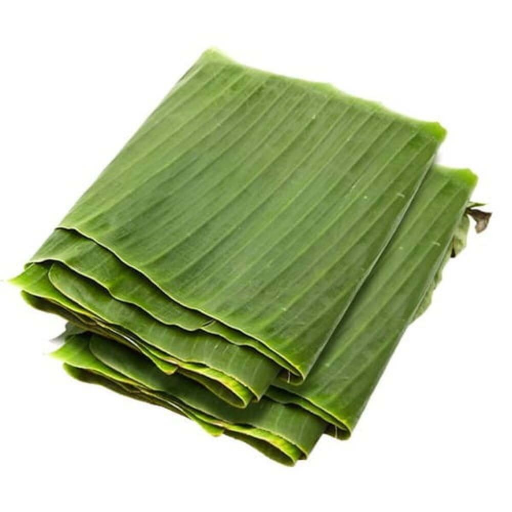 Hoja de plátano fresca para envolver tamales mexicanos tradicionales
