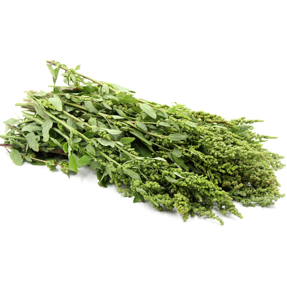 Huazontle fresco de temporada, hortaliza mexicana de hojas verdes comestibles
